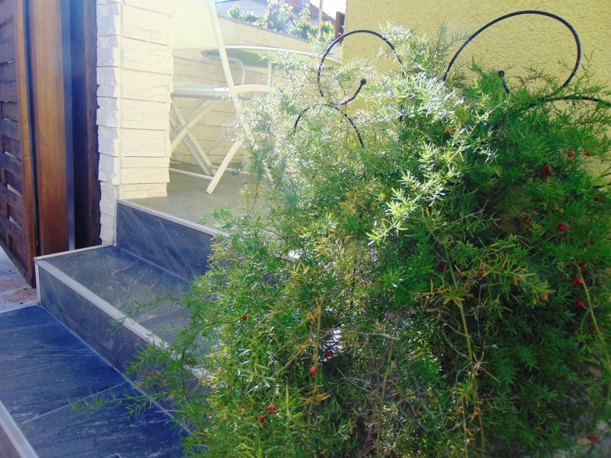 Apartment Rustica Zadar With Exclusive Use Of The Pool-Ground Floor Eksteriør bilde